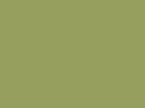 Papieren placemat groen - 35x45 cm