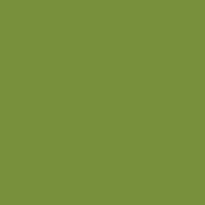 Servet 2 laags leaf green - 33x33 cm