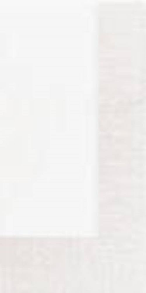 Serviette 2 couches blanche - 33x33 cm