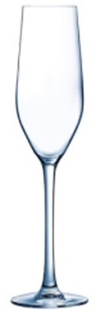 Mineral champagneglas 16 cl