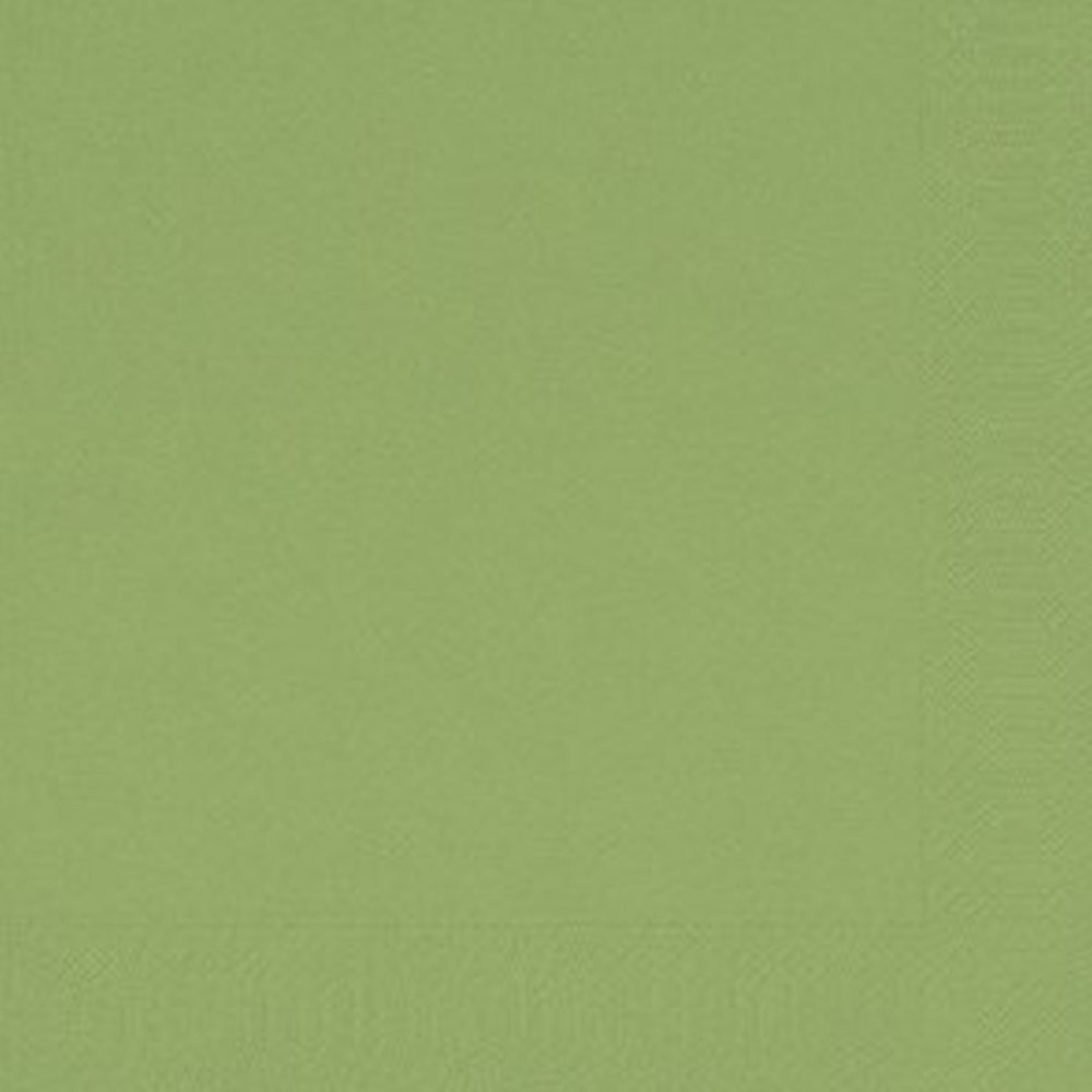 Servet 2 laags kiwi - 24x24 cm