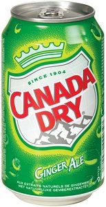 Canada dry boîte 33 cl