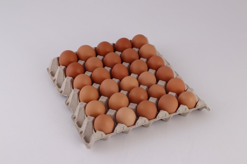 Kooi eieren bruin M