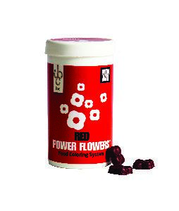 Power flowers rood
