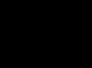 Papieren placemat zwart - 35x45 cm